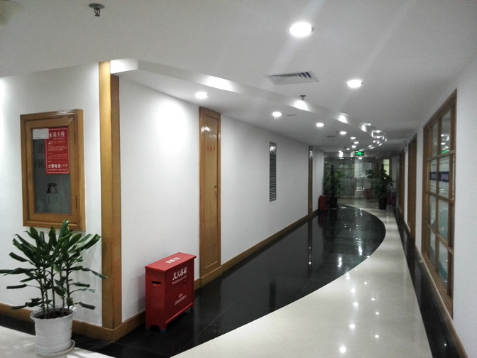 Head Office