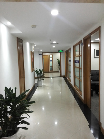 Head Office